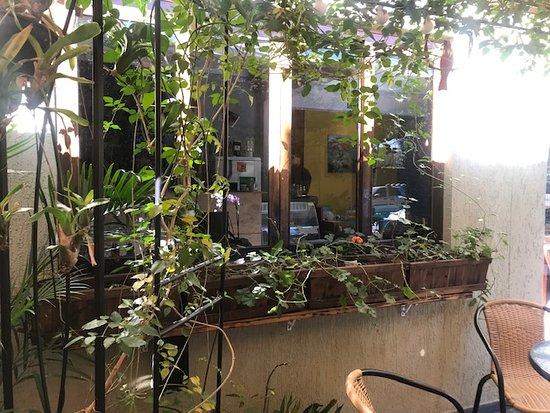Cafe Grao de Mostarda